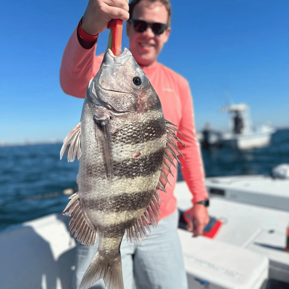 4 Hour Inshore/Neashore Fishing Trip