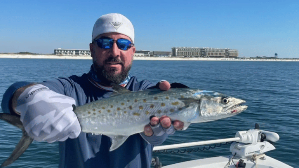 4 Hour Inshore/Neashore Fishing Trip