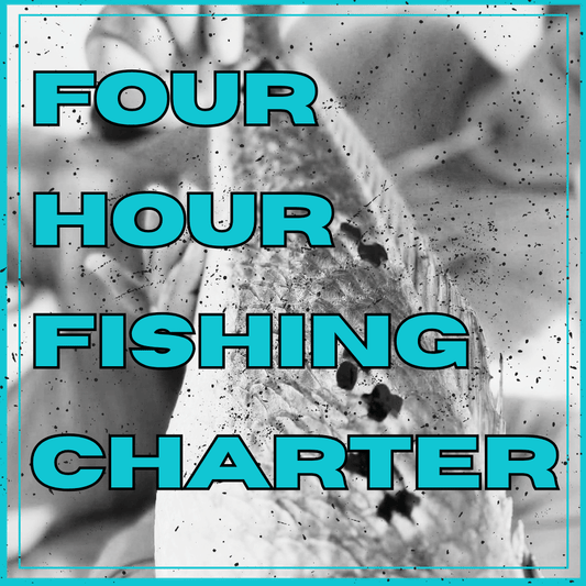 4 Hour Inshore/Neashore Fishing Trip