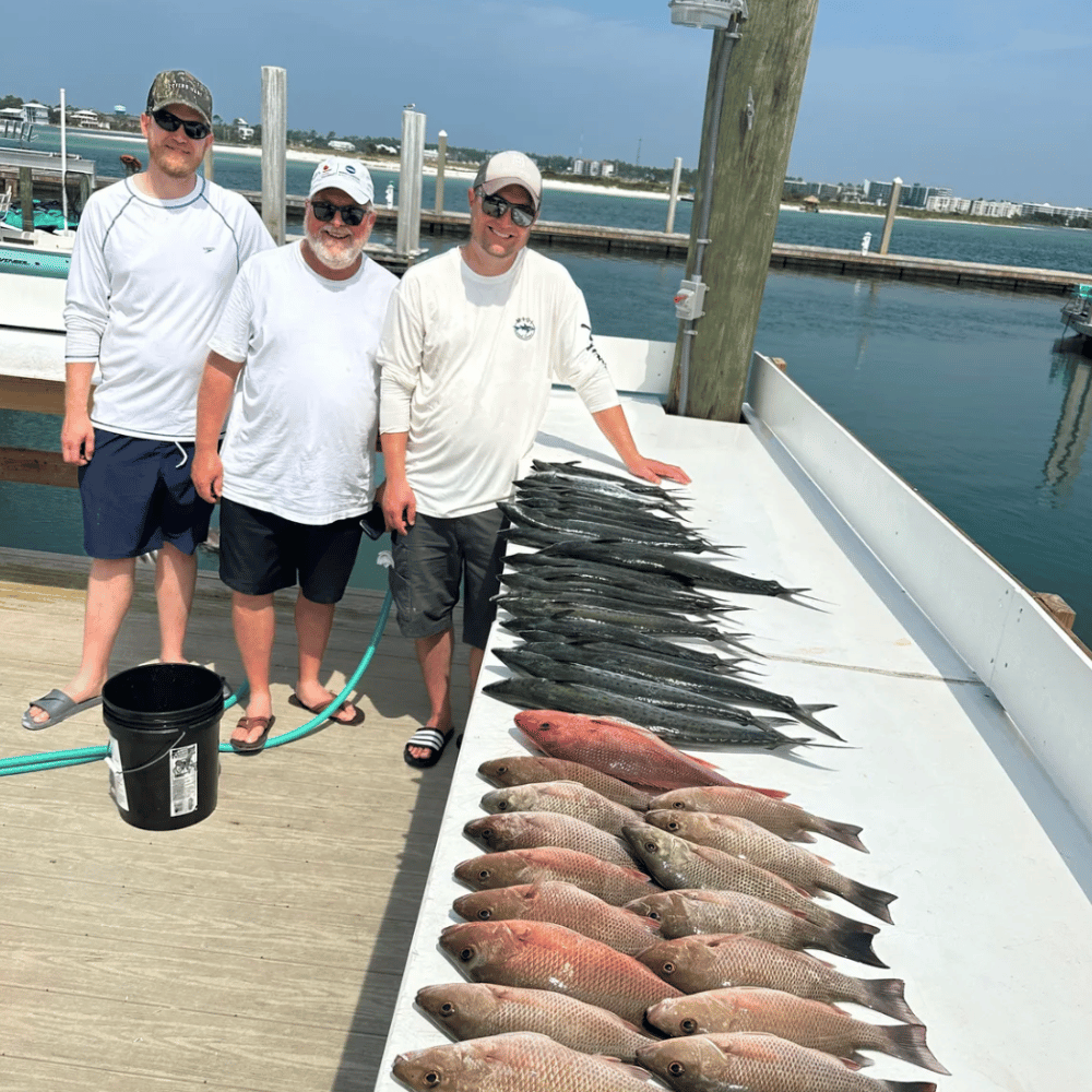 4 Hour Inshore/Neashore Fishing Trip