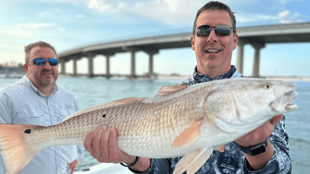 4 Hour Inshore/Neashore Fishing Trip
